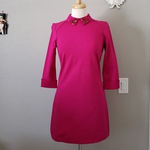 Ted Baker Mini Shift Dress Peter Pan Collar